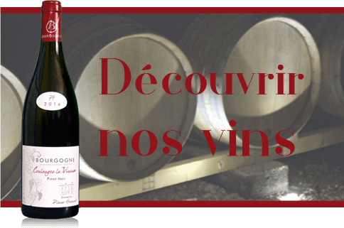 Vin de Coulanges et Irancy